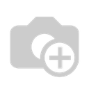 Datatronix services